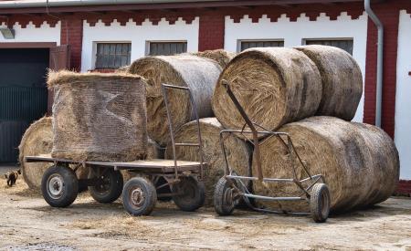 hay-bales-5942538_1280 (1)